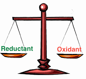 Balanced Redox Signaling Molecules is Key